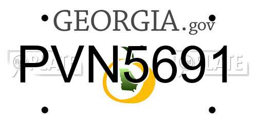PVN5691 Georgia License Plate