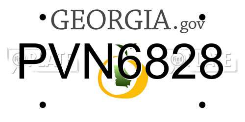 PVN6828 Georgia License Plate