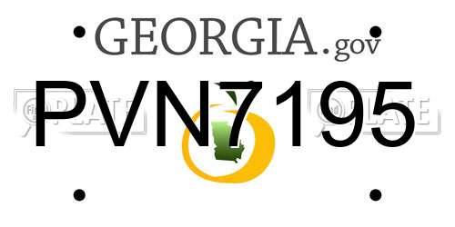 PVN7195 Georgia License Plate