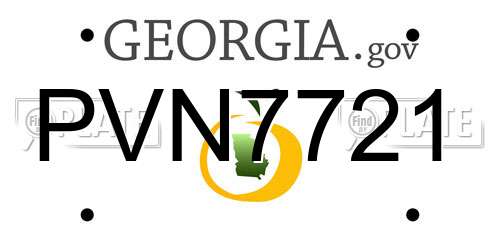 PVN7721 Georgia License Plate
