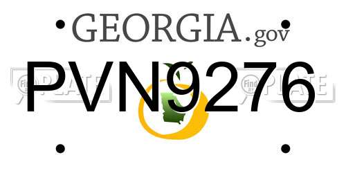 PVN9276 Georgia License Plate