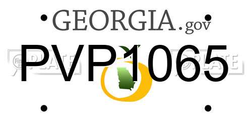 PVP1065 Georgia License Plate