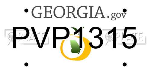 PVP1315 Georgia License Plate