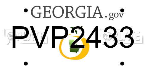 PVP2433 Georgia License Plate