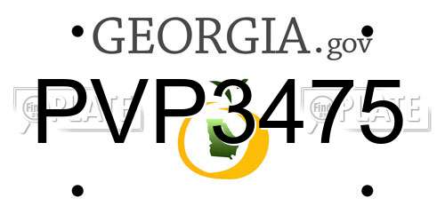 PVP3475 Georgia License Plate