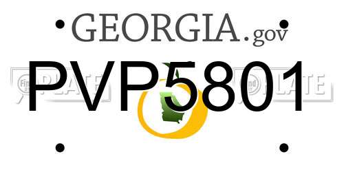 PVP5801 Georgia License Plate