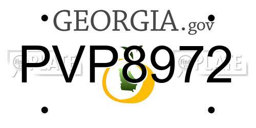 PVP8972 Georgia License Plate