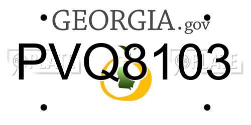 PVQ8103 Georgia License Plate