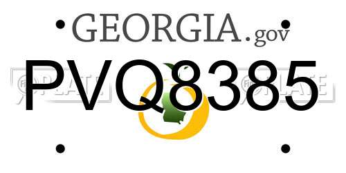 PVQ8385 Georgia License Plate
