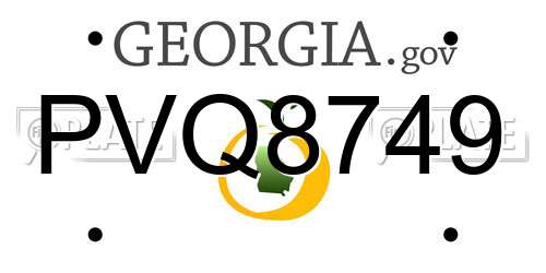 PVQ8749 Georgia License Plate