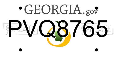 PVQ8765 Georgia License Plate