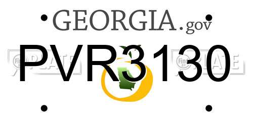 PVR3130 Georgia License Plate