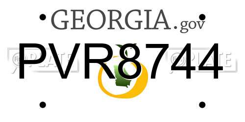 PVR8744 Georgia License Plate