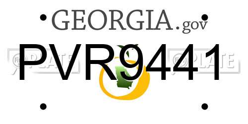 PVR9441 Georgia License Plate