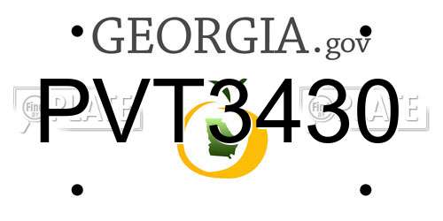 PVT3430 Georgia License Plate