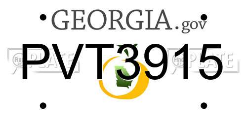 PVT3915 Georgia License Plate