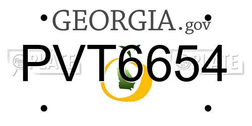PVT6654 Georgia License Plate