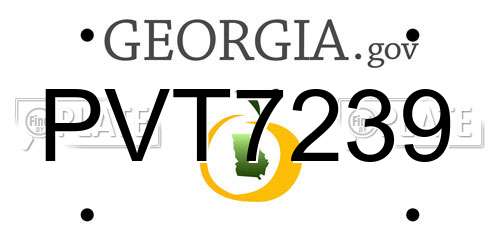 PVT7239 Georgia License Plate