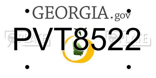 PVT8522 Georgia License Plate