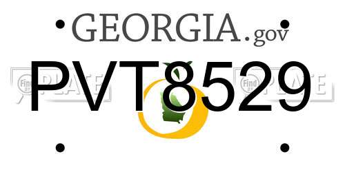 PVT8529 Georgia License Plate