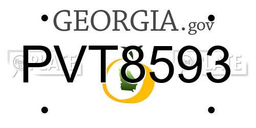 PVT8593 Georgia License Plate
