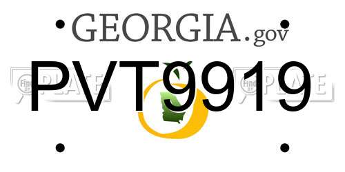 PVT9919 Georgia License Plate