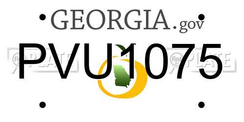 PVU1075 Georgia License Plate