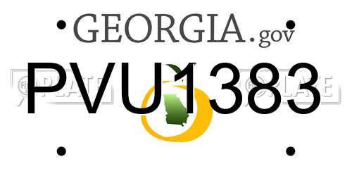 PVU1383 Georgia License Plate