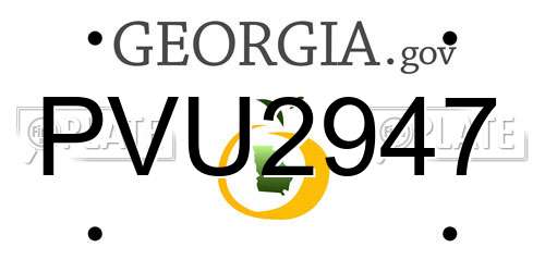 PVU2947 Georgia License Plate