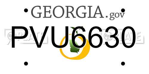 PVU6630 Georgia License Plate