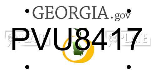 PVU8417 Georgia License Plate