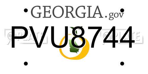 PVU8744 Georgia License Plate