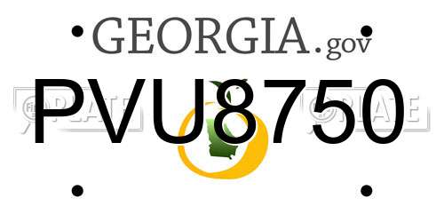 PVU8750 Georgia License Plate