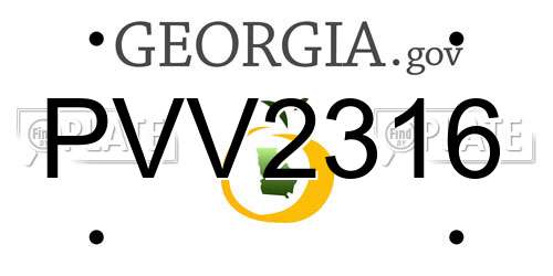 PVV2316 Georgia License Plate