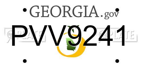 PVV9241 Georgia License Plate