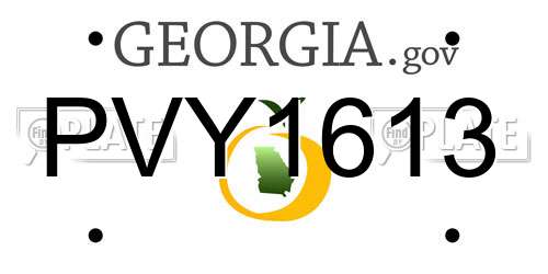 PVY1613 Georgia License Plate