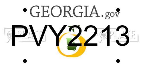 PVY2213 Georgia License Plate
