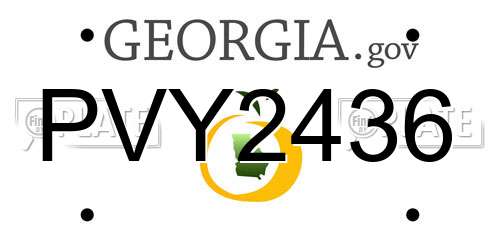 PVY2436 Georgia License Plate