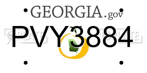 PVY3884 Georgia License Plate