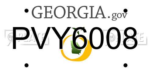 PVY6008 Georgia License Plate