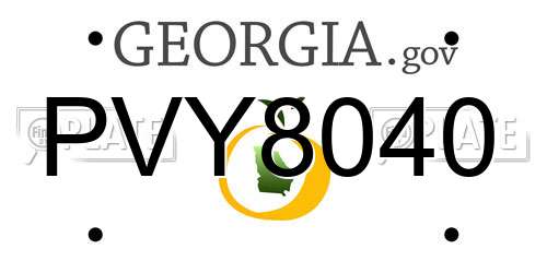 PVY8040 Georgia License Plate