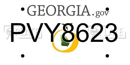 PVY8623 Georgia License Plate