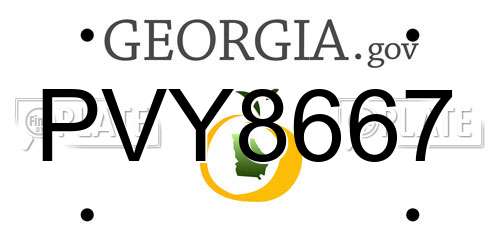 PVY8667 Georgia License Plate