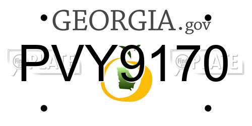 PVY9170 Georgia License Plate