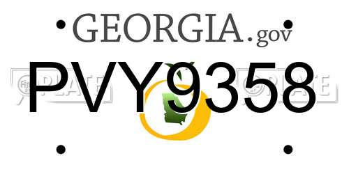 PVY9358 Georgia License Plate