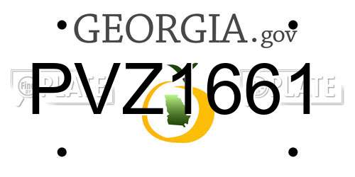 PVZ1661 Georgia License Plate