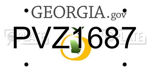 PVZ1687 Georgia License Plate