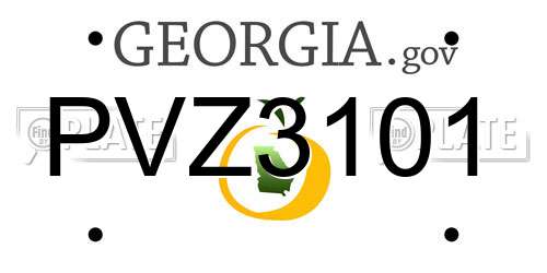 PVZ3101 Georgia License Plate