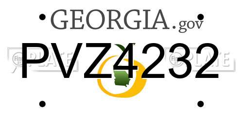 PVZ4232 Georgia License Plate