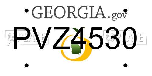 PVZ4530 Georgia License Plate